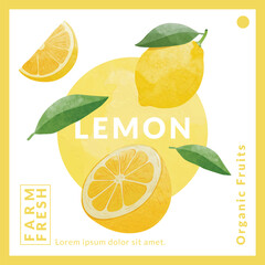 Lemon packaging design templates, watercolour style vector illustration.