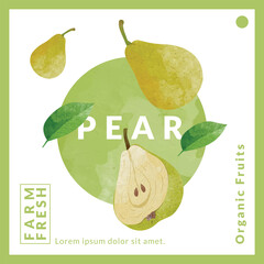 Pear packaging design templates, watercolour style vector illustration.