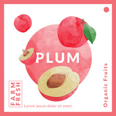 Red Plum packaging design templates, watercolour style vector illustration.