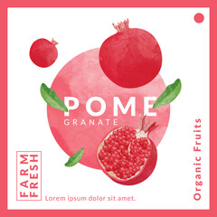 Pomegranate packaging design templates, watercolour style vector illustration.