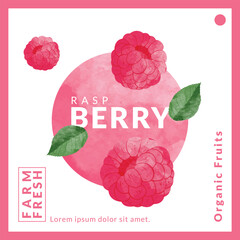 Raspberry packaging design templates, watercolour style vector illustration.