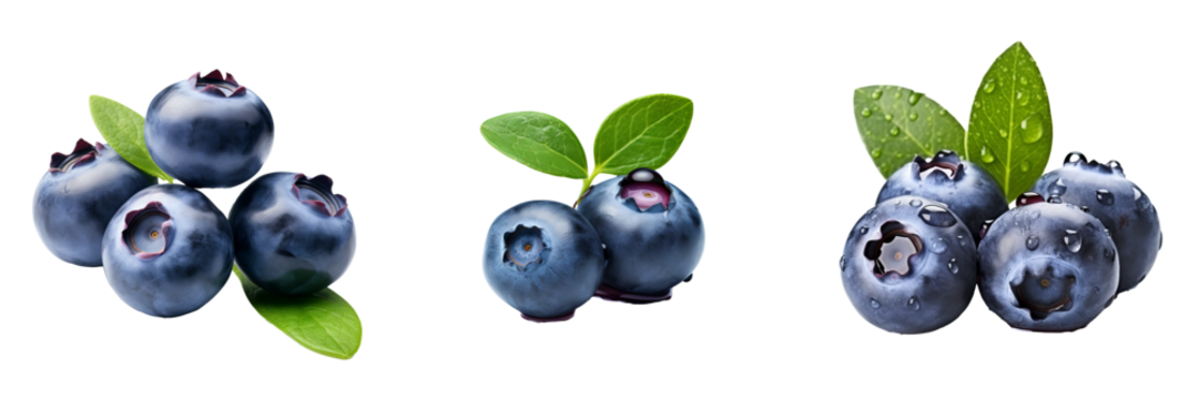 Vibrant Blueberry Delight: Isolated Illustrations on Transparent Background