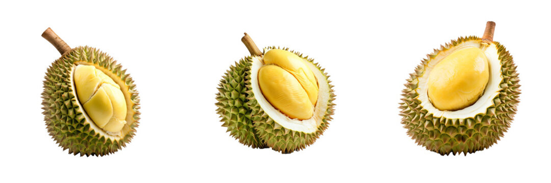 Tempting Durian Delight Set on Transparent Background