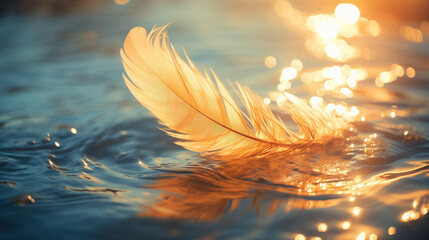 Feather adrift on sunset tranquil waters. - obrazy, fototapety, plakaty