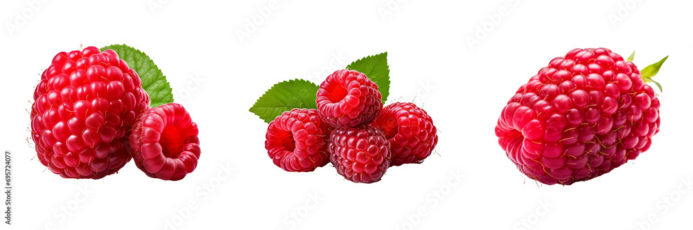 Poster vibrant raspberry set: refreshing full body on transparent background