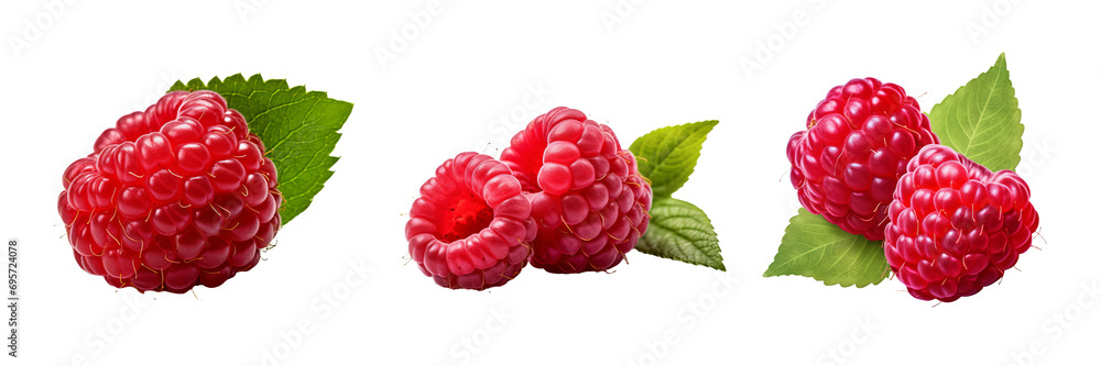 Poster vibrant raspberry presence on transparent background
