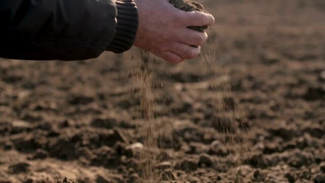 Hand of farmer inspecting soil health before planting in farm. Expert hand of farmer checking soil health before growth a seed of vegetable. Agriculture, gardening, business or ecology concept.