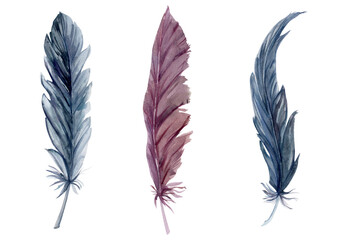 Hand drawn watercolor bird feather plume quill boho tribal ethnic indian blue brown. Single object isolated on white background. Design charm amulet, dreamcatcher, scrapbooking, handmade craft, tattoo