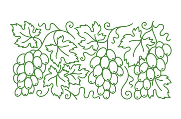 Grape vine pattern. Grape branches and leaves. Editable outline stroke. Vector line.