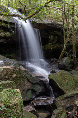 Fototapeta na wymiar Waterfall in deep forest , Tham Yai Waterfall at Phu Kradueng National Park
