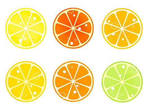 柑橘系フルーツの輪切りイラスト