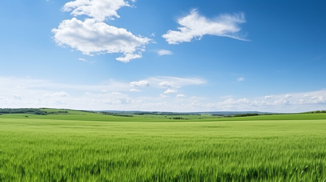 Wide panoramic view of green agricultural fields lit