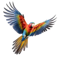 Zelfklevend Fotobehang A beautiful colorful parrot flying on white background. © Wararat
