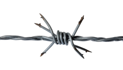  Barbed wire isolated on white background