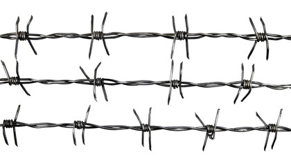  Barbed wire isolated on white background