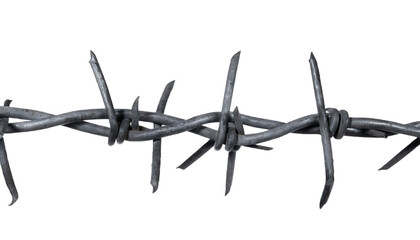 Fototapeta na wymiar Barbed wire isolated on white background