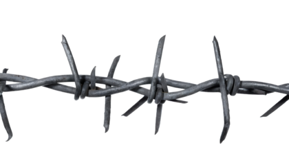  Barbed wire isolated on white background