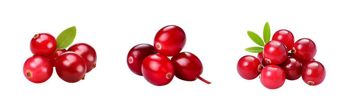 Vibrant Cranberry Fruit Set on Transparent Background