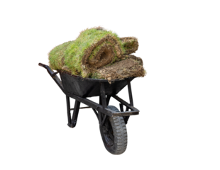 Wheelbarrow loaded with grass pieces for lawn 