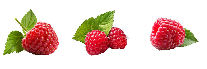 Vibrant Raspberry Isolated on Transparent Background