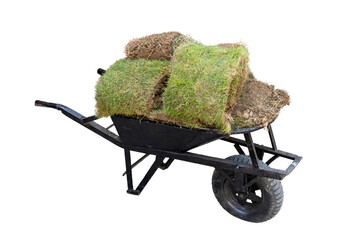 Hand pushcart full with grass for lawn 