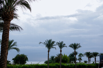View from the hotel terrace to the sea and palms in the cloudy morning