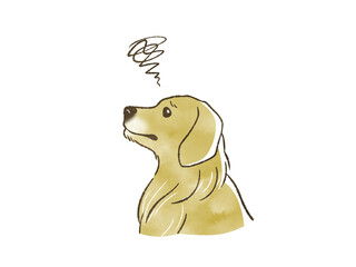 困っているゴールデンレトリバー