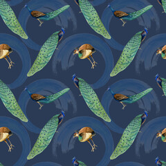 Peacocks and peahens birds with paint strokes seamless pattern on dark navy blue background in vintage tropical style for fabrics, textiles and bed linen
