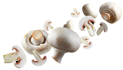 Flying champignon mushrooms - isolated on transparent background