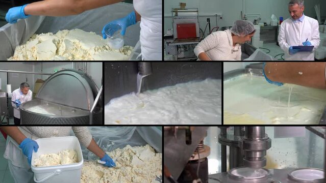 Dairy Processing Plant - Multi Screen Video. Milk Pasteurization in Milk Factory. Yoghurt and Cheese Production. Butter Manufacturing. Dairy Plant Jobs. Dairy Product Manufacturing.