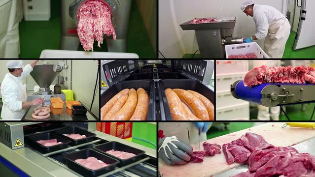 Meat Packing Industry - Multi Screen Video Montage. Butcher at Work. Automatic Vacuum Meat Packaging in Modified Atmosphere. Meat Processing Workers on a Production Line. Fresh Meat Packing Line.