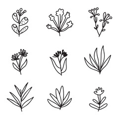 Hand draw floral , line art flowers in flat style. Hand drawn line wedding herb, elegant leaves