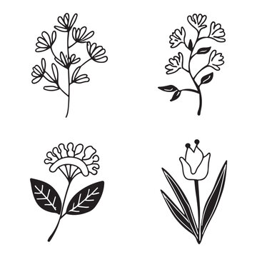 Hand draw floral , line art flowers in flat style. Hand drawn line wedding herb, elegant leaves