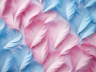 Delicate pink and blue feathers arranged in a soft, flowing pattern.
