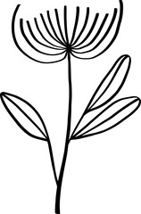 Floral Botanical Hand Drawn Element