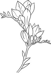 Floral Botanical Hand Drawn Element