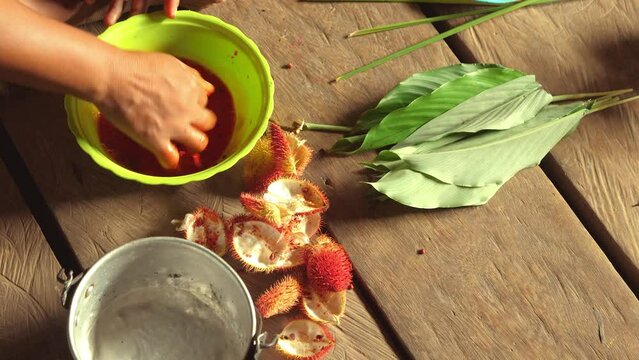 Local native people in the Amazon jungle prepare textile paints from natural plants, fruits and materials and dye their clothes. Colombian Indians using herbs and plants to produce colorful paint.