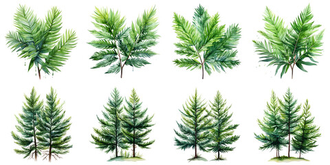 spruce trees and cypress leaves Artificial Intelligence Generative - Powered by Adobe