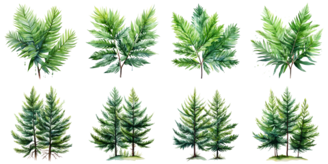 spruce trees and cypress leaves Artificial Intelligence Generative