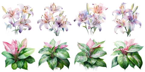 Fototapete Tropische Pflanzen decorative plants Artificial Intelligence Generative