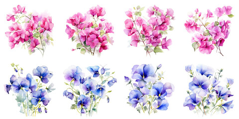 watercolor bougainvillea flowers and butterfly pea flowers Artificial Intelligence Generative