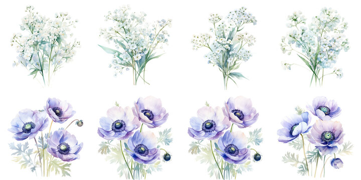 watercolor baby's breath flowers and anemone flowers Artificial Intelligence Generative