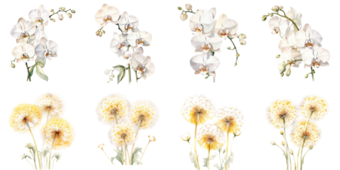 watercolor White Moon Orchid and dandelion flowers Artificial Intelligence Generative