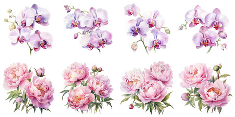 watercolor painting of camellias and phalaenopsis orchid flowers Artificial Intelligence Generative - obrazy, fototapety, plakaty