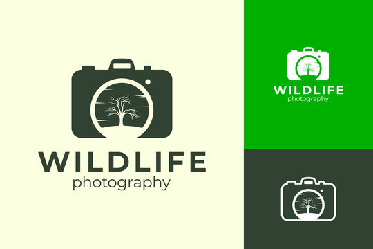Wild Nature Photo Tree Nature Forest Scenery Logo Design