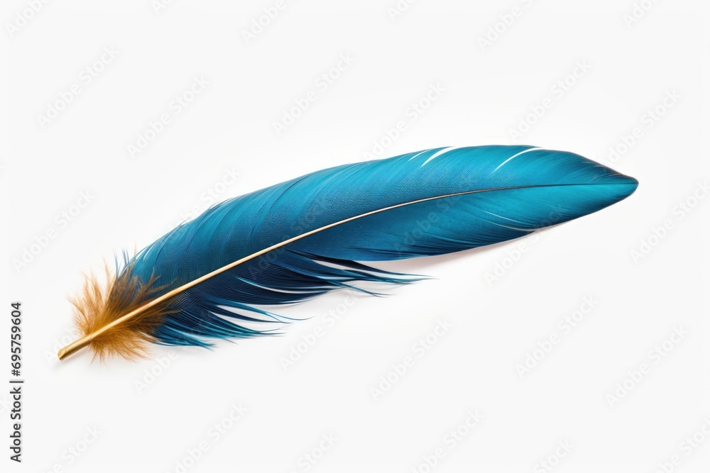 Poster a beautiful blue feather on a clean white background. perfect for adding a touch of elegance to any 