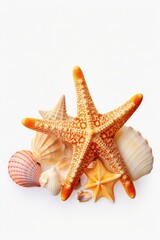 Fototapeta na wymiar Starfish and shells arranged on a white surface. Perfect for beach-themed designs and coastal decorations