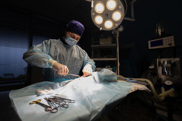 A handsome veterinary surgeon in a dark operating room illuminated by a surgical lamp performs an...