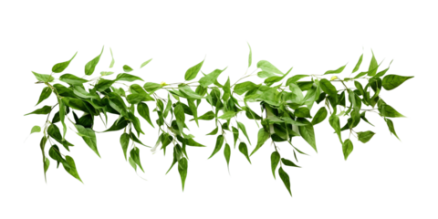 vernonia eliptica green leaves hanging wreath Artificial Intelligence Generative