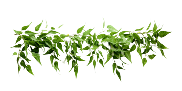 vernonia eliptica green leaves hanging wreath Artificial Intelligence Generative